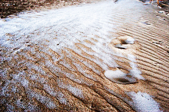 Snowy Ripples