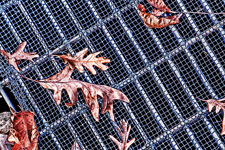 Leaf My Great Grate Leaves Alone!